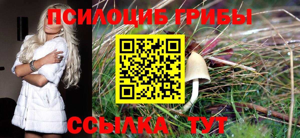 Галлюциногенные грибы прущие грибы  Галлюциногенные грибы GOLDEN TEACHER  Вход с VPN  Ступино 